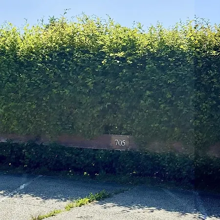 Waldglueck Mit Pool & Sauna *