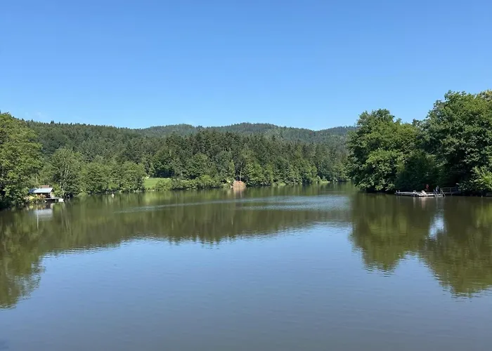 Waldglueck Mit Pool & Sauna Hauzenberg