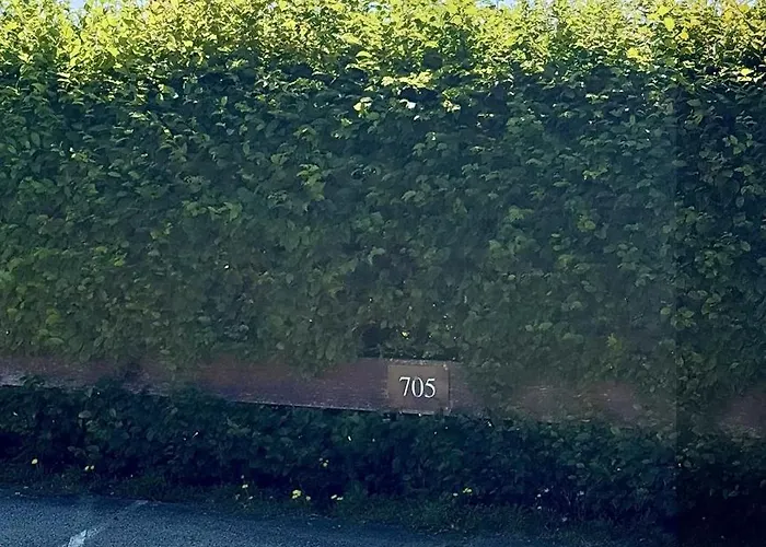Waldglueck Mit Pool & Sauna *